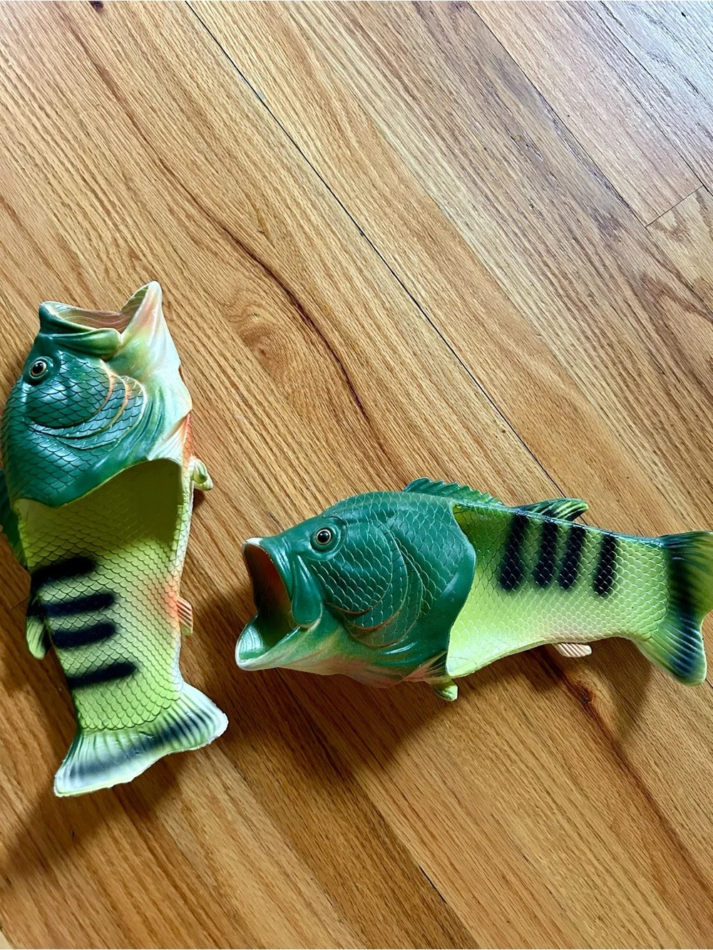 Coddies Fish Slippers for Fish Lovers